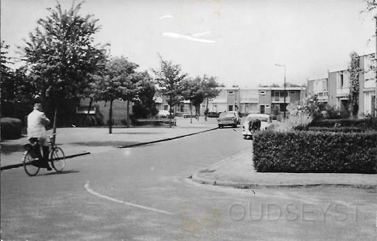 Zeist-West0005, Patrijzenlaan. 1979.jpg - De Patrijzenlaan, vanaf de Fazantenlaan gezien naar de Korhoenlaan. De begroeiing is nu wat meer dan op de vorige foto daar was alles nog kaal. Opname van 1979.